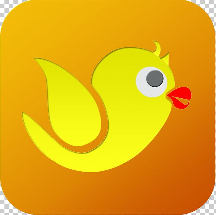 Duck Beak Chicken Meat PNG, Clipart, Animals, Beak, Bird, Chicken, Chicken Meat Free PNG Download