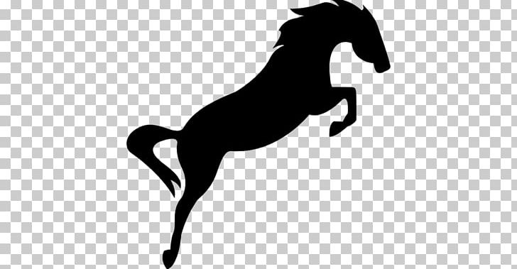 Horse Show Jumping Equestrian PNG, Clipart, Animals, Black, Collection, Coloring Pages, Colt Free PNG Download