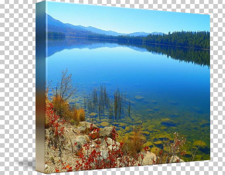 Water Resources Ecosystem Painting Lake PNG, Clipart, Art, Ecosystem, Lake, Landscape, Lennar At Storey Lake Free PNG Download