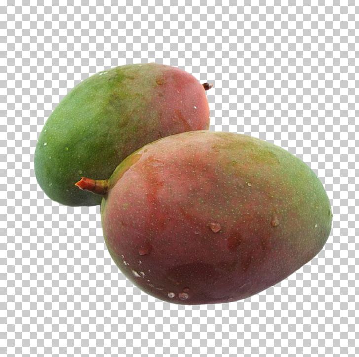 Mango Fruit Designer Gratis PNG, Clipart, Apple Fruit, Big, Big Mango, Data Compression, Designer Free PNG Download