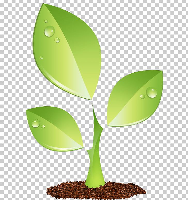 Plant Green PNG, Clipart, Botany, Computer Icons, Environmental, Food Drinks, Green Free PNG Download