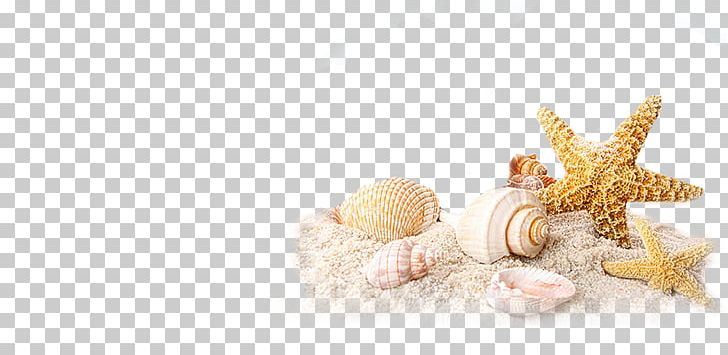 Sand Beach House Resort PNG, Clipart, Beach, Beach House, Collage, Content Management System, Cozy Mystery Free PNG Download