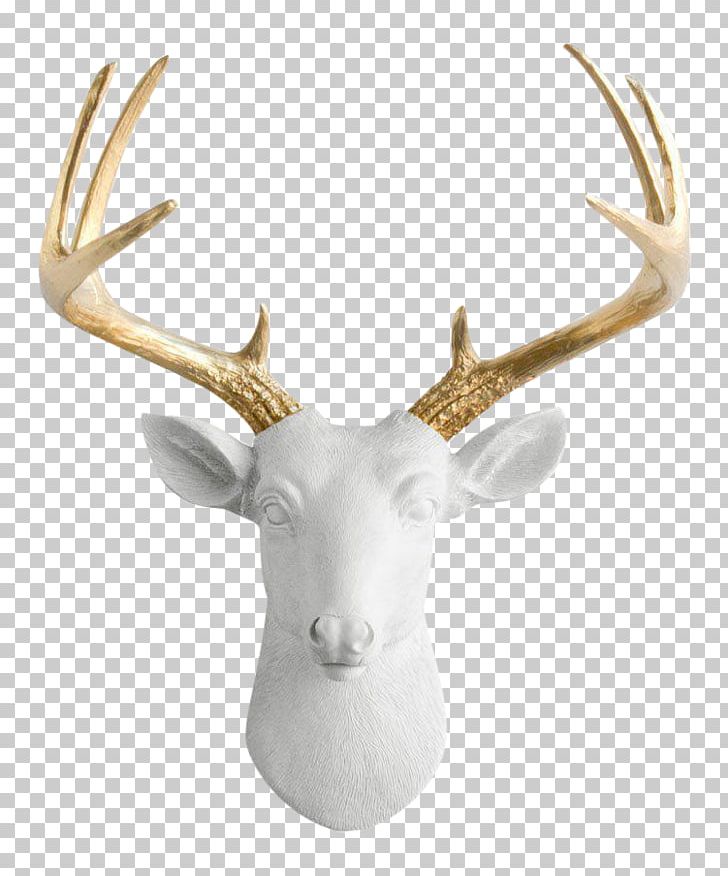 White-tailed Deer Moose Antler Taxidermy PNG, Clipart, Animal, Animals, Antler, Art, Bust Free PNG Download