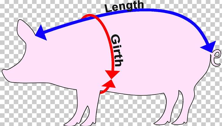 Domestic Pig Cattle Measurement Weight PNG, Clipart, Adhesive Tape, Animals, Area, Calculation, Cattle Free PNG Download