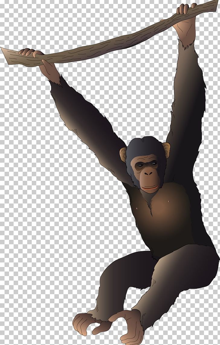 Gorilla Orangutan Gibbon Cartoon PNG, Clipart, Animals, Arm, Cartoon, Handpainted Flowers, Happy Birthday Vector Images Free PNG Download