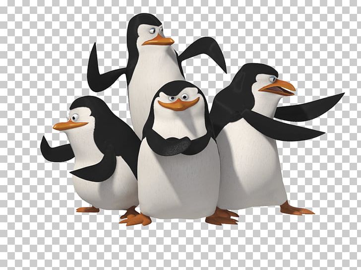 Penguin Skipper Madagascar PNG, Clipart, Animals, Animation, Beak, Bird, Download Free PNG Download