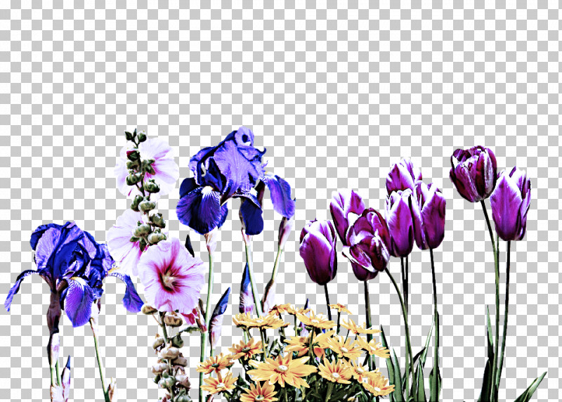 Floral Design PNG, Clipart, Artificial Flower, Cut Flowers, Floral Design, Flower, Garden Roses Free PNG Download
