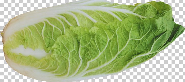 Lettuce Salad Vegetable PNG, Clipart, Cabbage, Cocoa, Collard Greens, Computer Icons, Food Free PNG Download