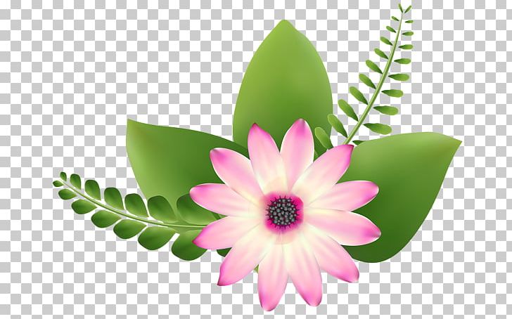 Pink Flowers Petal PNG, Clipart, Art, Clip Art, Drawing, Floral Design, Flower Free PNG Download