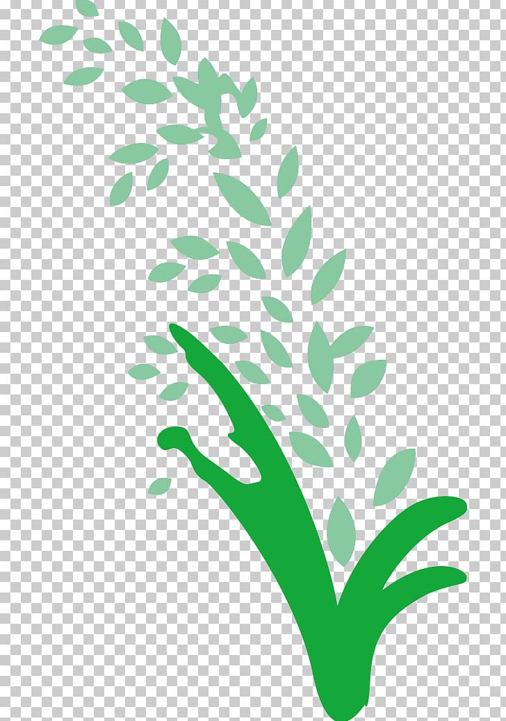 Rice Gadu Paddy Field Gratis PNG, Clipart, Branch, Brown Rice, Concepteur, Download, Euclidean Vector Free PNG Download