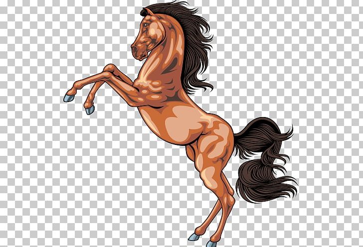 Icelandic Horse Equestrianism Horse Facts PNG, Clipart, Animals, Black, Bridle, Buckskin, Gray Free PNG Download
