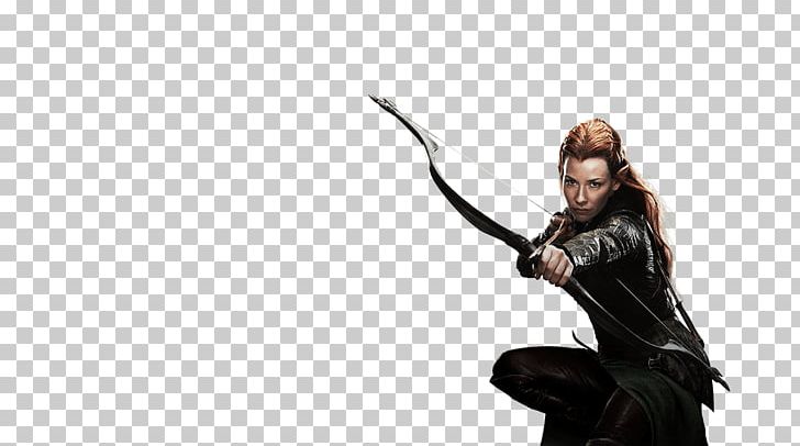 Tauriel Wasp Quicksilver Character PNG, Clipart, Antman, Antman And The Wasp, Atom, Avengers Age Of Ultron, Character Free PNG Download