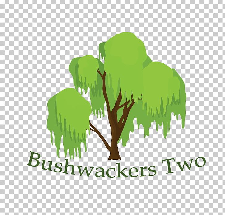 Tree Bushwackers Two Conifer Cone PNG, Clipart, Branch, Brand, Conifer Cone, Conifers, Forest Free PNG Download