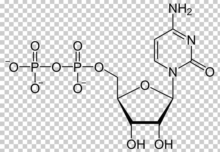 Uridine Monophosphate Uridine Diphosphate Uridine Triphosphate Adenosine Diphosphate PNG, Clipart, Adenosine Triphosphate, Angle, Area, Black And White, Circle Free PNG Download