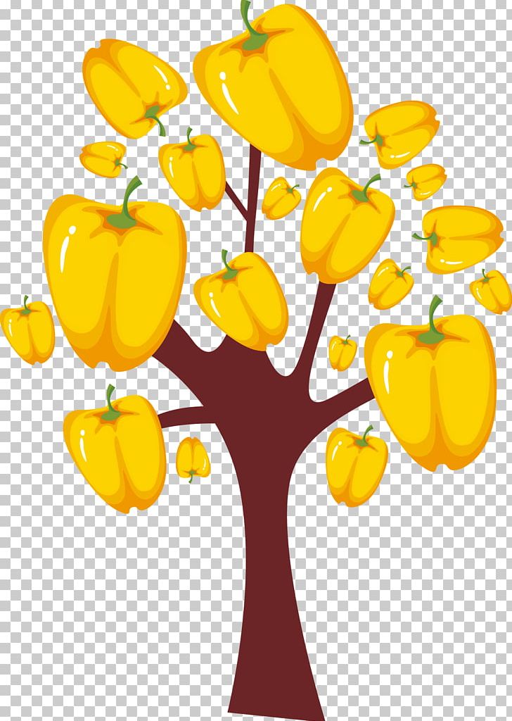 Bell Pepper Habanero PNG, Clipart, Beautiful, Beautiful Vector, Branch, Encapsulated Postscript, Family Tree Free PNG Download