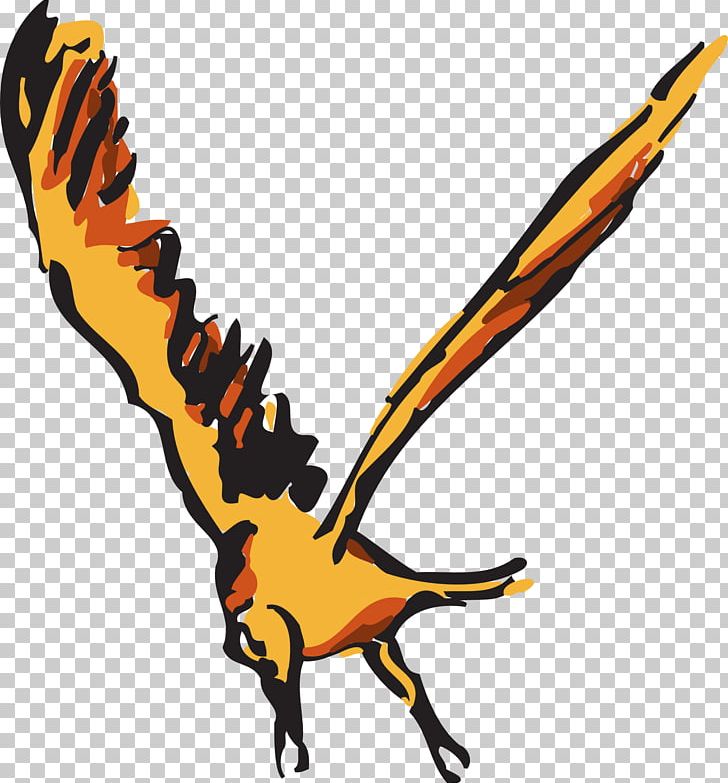 Bird Wing Orange PNG, Clipart, Animals, Artwork, Beak, Bird, Claw Free PNG Download