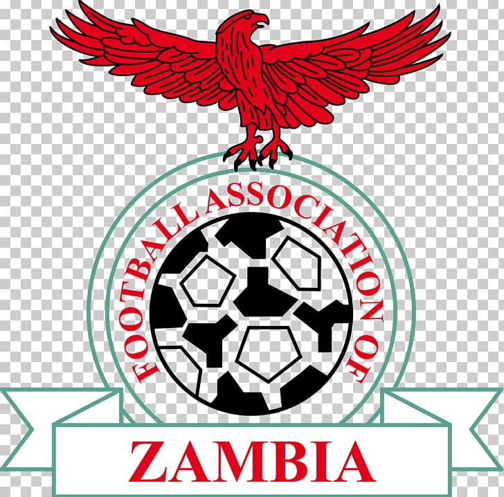 Zambia National Football Team COSAFA Cup Africa Cup Of Nations South Africa National Football Team PNG, Clipart, Africa Cup Of Nations, Area, Artwork, Ball, Beak Free PNG Download