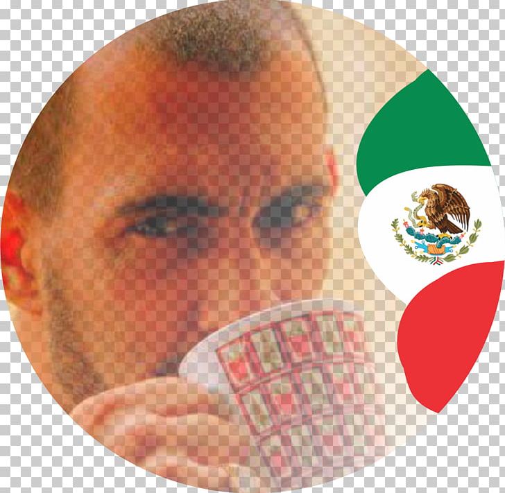 Flag Of Mexico Coat Of Arms Of Mexico Nose Ceramic PNG, Clipart, Ceramic, Cheek, Chin, Coat Of Arms, Coat Of Arms Of Mexico Free PNG Download