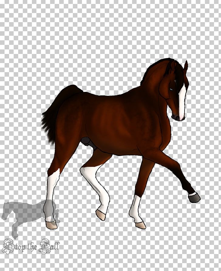 Foal Mane Stallion Mare Mustang PNG, Clipart, Bridle, Colt, Foal, Halter, Horse Free PNG Download