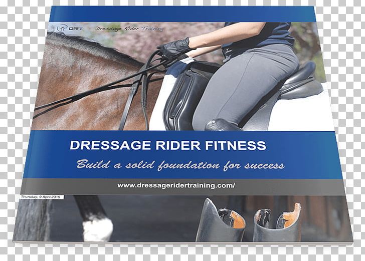 Pilates For The Dressage Rider: Engaging The Human Spine Using Pilates Horse Training Equestrian PNG, Clipart, Advertising, Animals, Banner, Brand, Core Free PNG Download