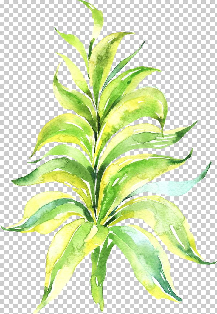 Watercolor Painting Leaf PNG, Clipart, Aquarium Decor, Art, Beautiful, Drawing, Evergreen Free PNG Download