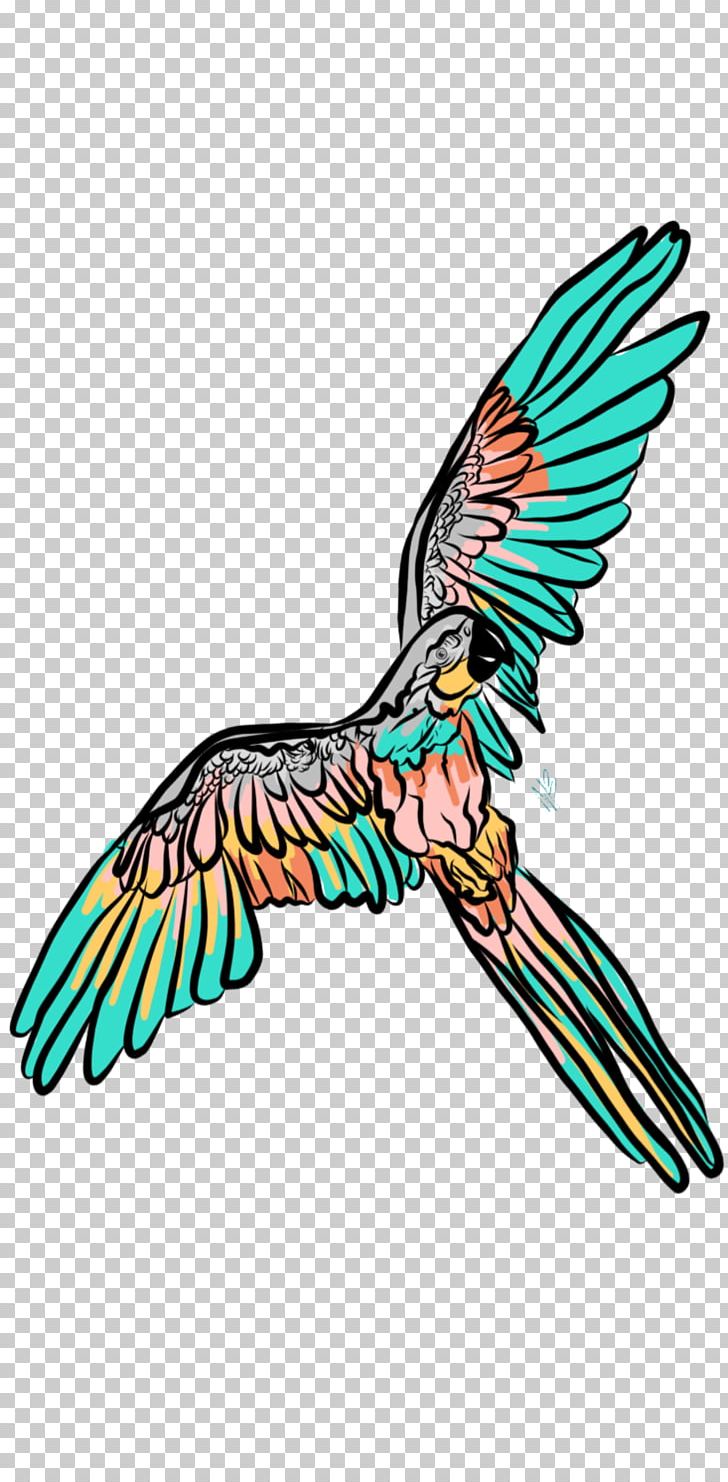 Beak Feather Pollinator Eagle PNG, Clipart, Animals, Artwork, Beak, Bird, Eagle Free PNG Download