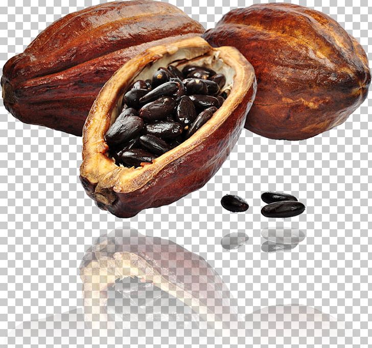 Cacao Tree Cocoa Bean Raw Chocolate Cocoa Solids PNG, Clipart, Cacao Tree, Can Stock Photo, Chocolate, Cocoa Bean, Cocoa Solids Free PNG Download