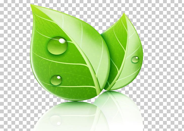 Leaf Ecology Natural Environment Illustration PNG, Clipart, Banana Leaves, Banner, Banner Material, Computer Wallpaper, Environmentally Friendly Free PNG Download