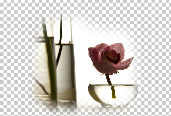 Still Life Photography Vase Flower PNG, Clipart, Cup, Cutlery, F14, Flavor, Flower Free PNG Download