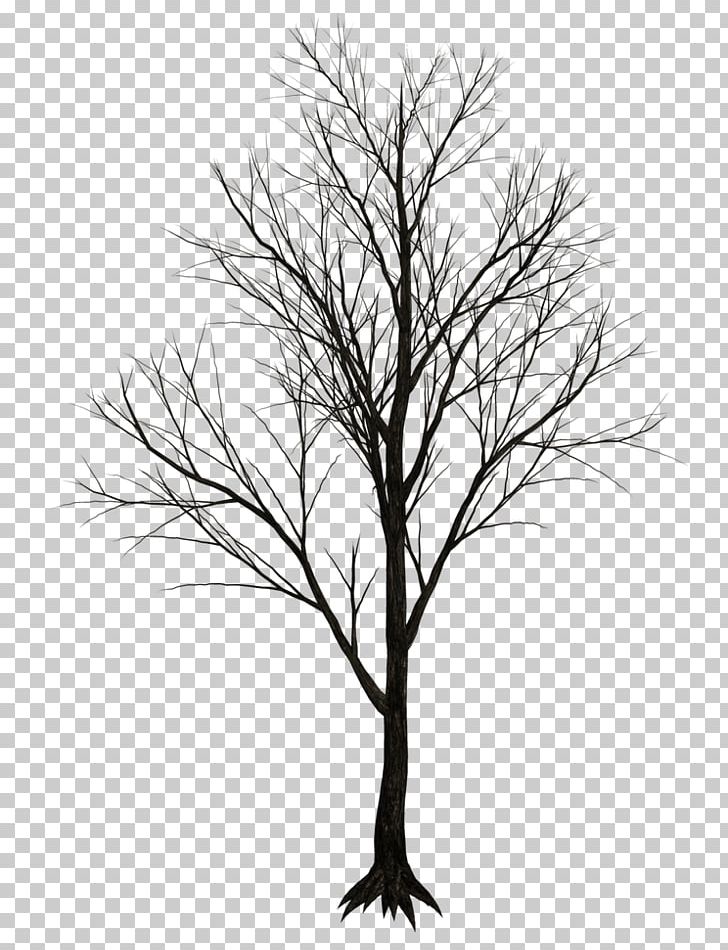 Tree PNG, Clipart, 3d Computer Graphics, Black And White, Branch, Drawing, Dry Tree Free PNG Download