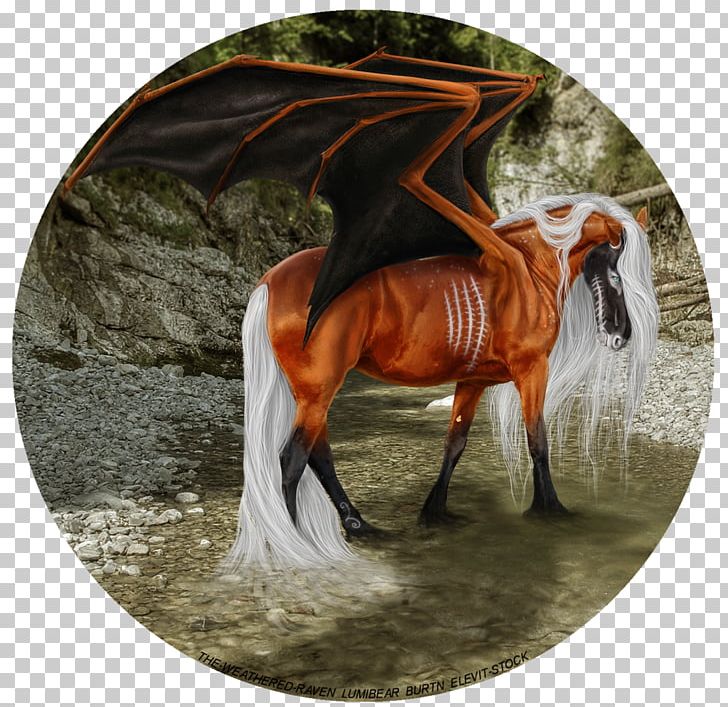 Unicorn. Magic Horse Vector & Photo (Free Trial) | Bigstock