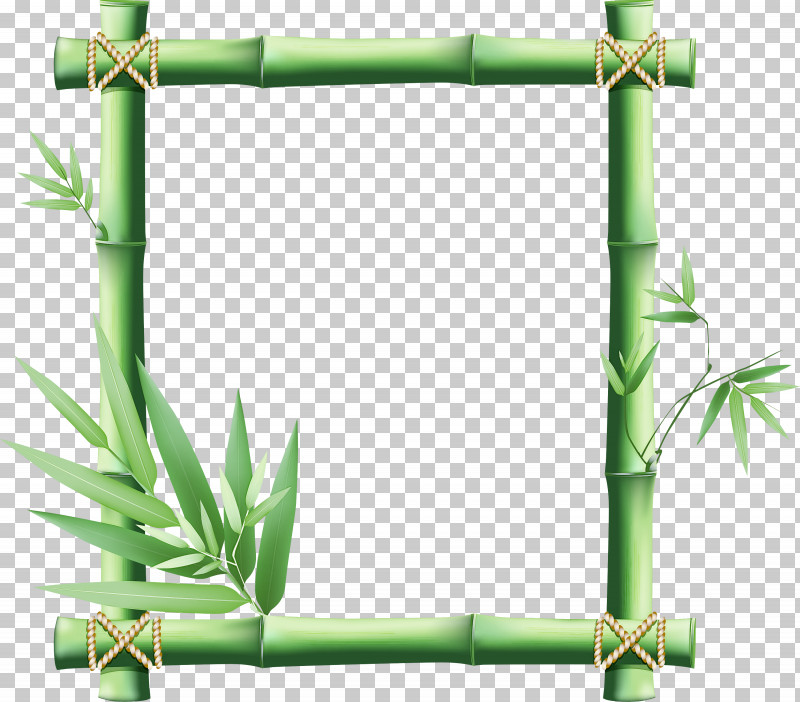 Picture Frame PNG, Clipart, Bamboo, Grass, Green, Picture Frame, Plant Free PNG Download