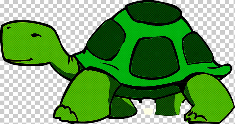 Green Tortoise Turtle Reptile Galápagos Tortoise PNG, Clipart, Animal Figure, Chelonoidis, Green, Pond Turtle, Reptile Free PNG Download
