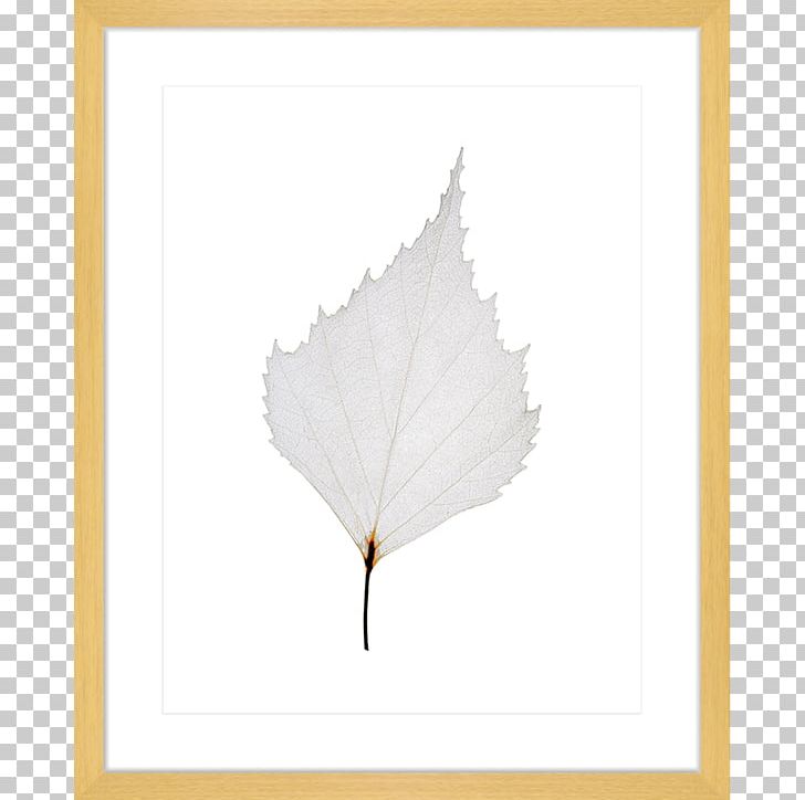 Maple Leaf Petal Angle PNG, Clipart, Angle, Leaf, Leaves Collection, Maple, Maple Leaf Free PNG Download