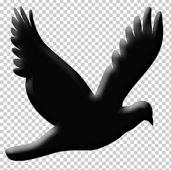 Silhouette Bird Design Beak PNG, Clipart, Animals, Beak, Bird, Black, Black And White Free PNG Download