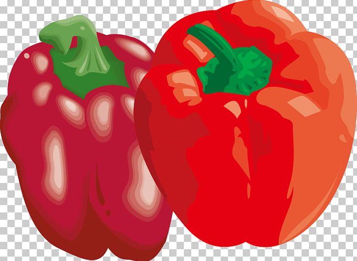 Bell Pepper Chili Pepper Vegetable PNG, Clipart, Bell Pepper, Chili Pepper, Food, Fruit, Happy Birthday Vector Images Free PNG Download