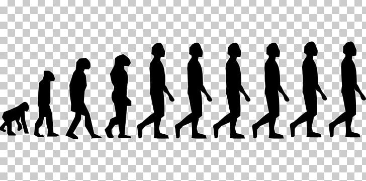 Human Evolution Homo Sapiens Neandertal Ape PNG, Clipart, Ape, Archaic Humans, Black And White, Brand, Child Free PNG Download