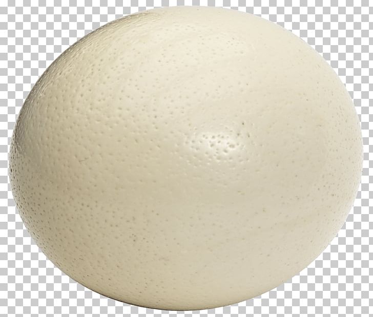 Common Ostrich Chicken Egg Bird Ostrich Meat PNG, Clipart, Animals, Bird, Boiled Egg, Calorie, Chicken Free PNG Download