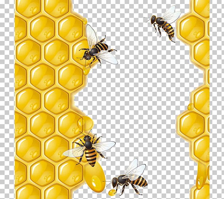 Honey Bee Honeycomb PNG, Clipart, Bee, Beehive, Corn On The Cob, Encapsulated Postscript, Euclidean Vector Free PNG Download