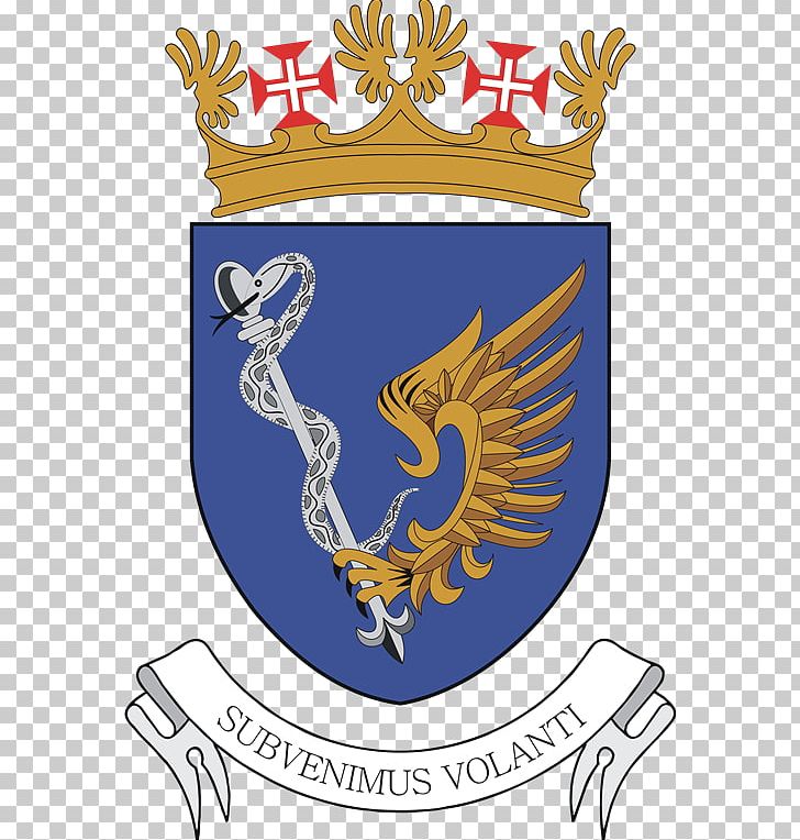 Porto Santo Airport Military Academy Portuguese Air Force PNG, Clipart, Air Force, Antler, Artwork, Aviation, Brand Free PNG Download