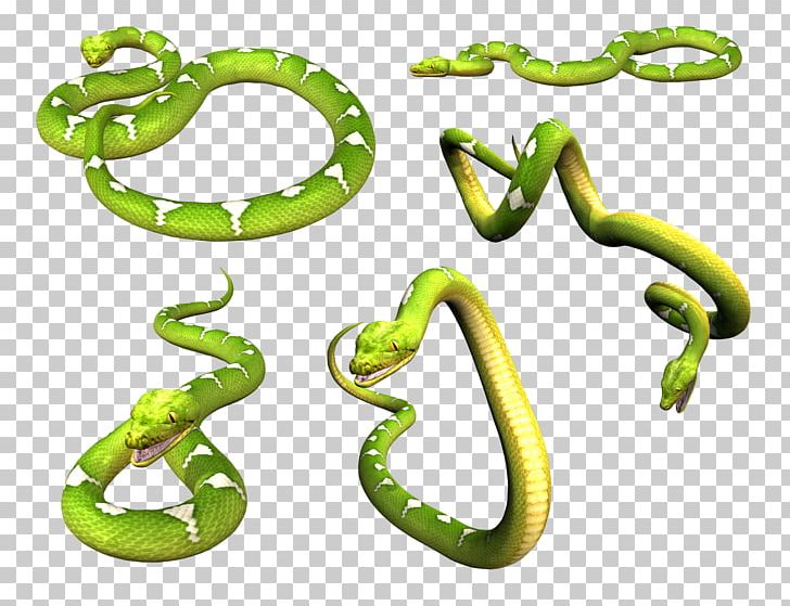 Smooth Green Snake Eastern Green Mamba PNG, Clipart, Animal Figure, Animals, Body Jewelry, Cobra, Desktop Wallpaper Free PNG Download