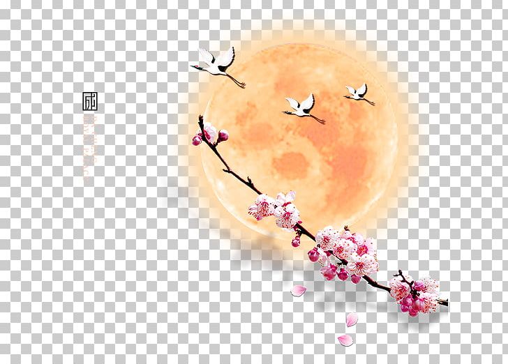 Plum Blossom Icon PNG, Clipart, Blossom, Circle, Computer Graphics, Computer Wallpaper, Decorative Free PNG Download