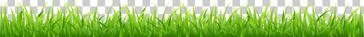Wheatgrass Green Plant Stem Computer PNG, Clipart, Background Green, Botany, Computer, Computer Wallpaper, Decorative Free PNG Download