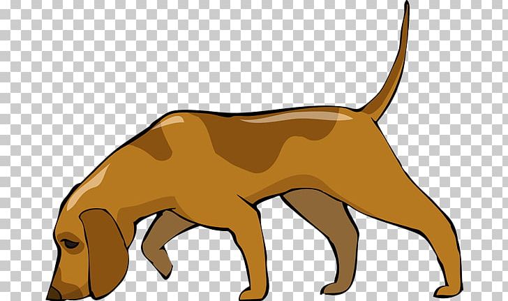 Bloodhound Basset Hound Greyhound Afghan Hound PNG, Clipart, Basset Hound, Big Cats, Bloodhound, Carnivoran, Cartoon Free PNG Download