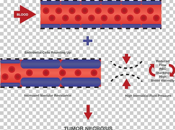 Lead Compound Plinabulin BeyondSpring Pharmaceuticals PNG, Clipart, Angle, Area, Asset, Brand, Cancer Free PNG Download