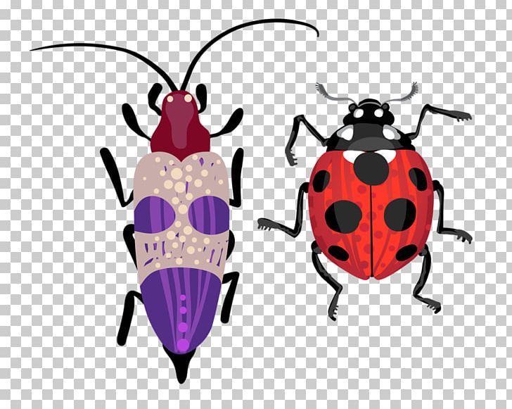 Beetle Drawing Illustration PNG, Clipart, Cartoon Ladybug, Cute Ladybug, Drawing, Insect, Insects Free PNG Download