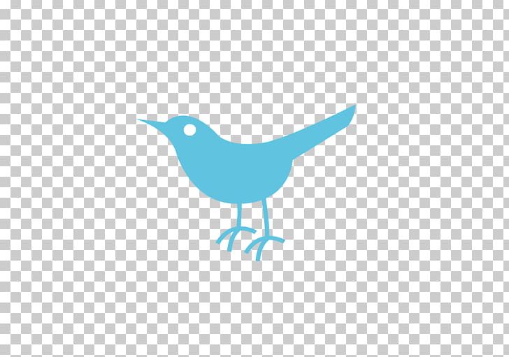 Bird Logo Beak La Talla Perfecta PNG, Clipart, Animals, Beak, Bird, Bird Icon, Bird Logo Free PNG Download
