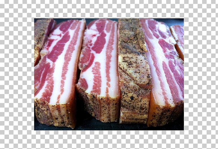 Capocollo Bacon Bayonne Ham Salumi PNG, Clipart, Animal Fat, Animal Source Foods, Bacon, Bayonne Ham, Beef Free PNG Download