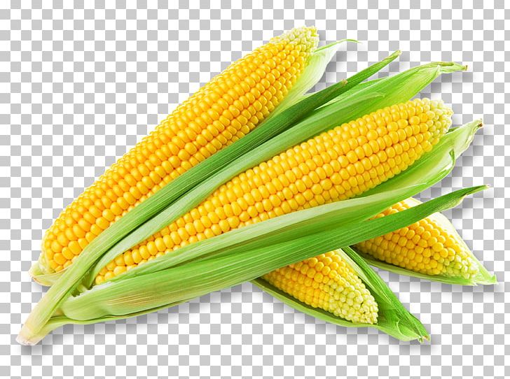 Corn Soup Corn Chowder Creamed Corn Corn On The Cob Sweet Corn PNG, Clipart, Cartoon Corn, Chicken Soup, Commodity, Corn, Corn Cartoon Free PNG Download