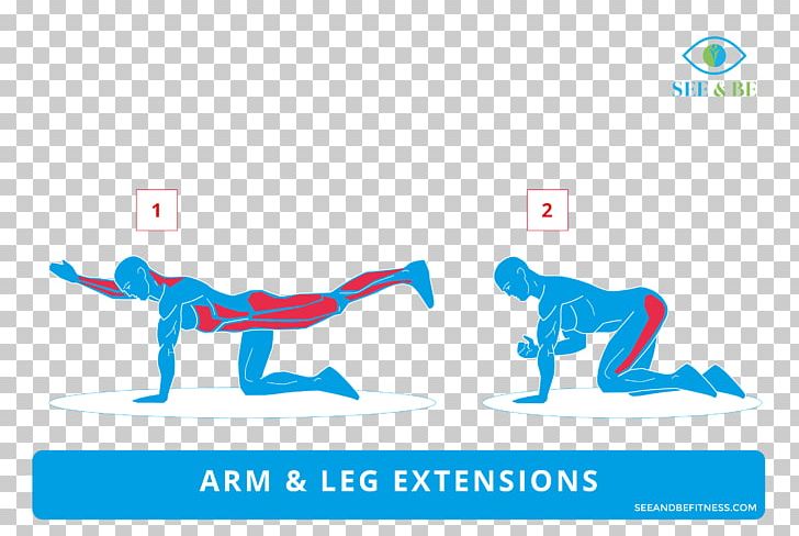 Exercise Fitness Centre Logo Training Static Cling PNG, Clipart, Area, Blue, Brand, Decal, Diagram Free PNG Download